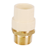 No Lead Brass MNPT x CPVC Transition Fitting