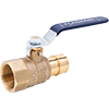 No Lead DZR Forged Brass Cold Expansion PEX x FNPT Transition Ball Valve